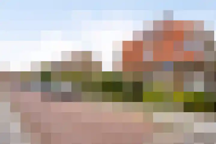 Tulpstraat 42 Goes thumbnail 8