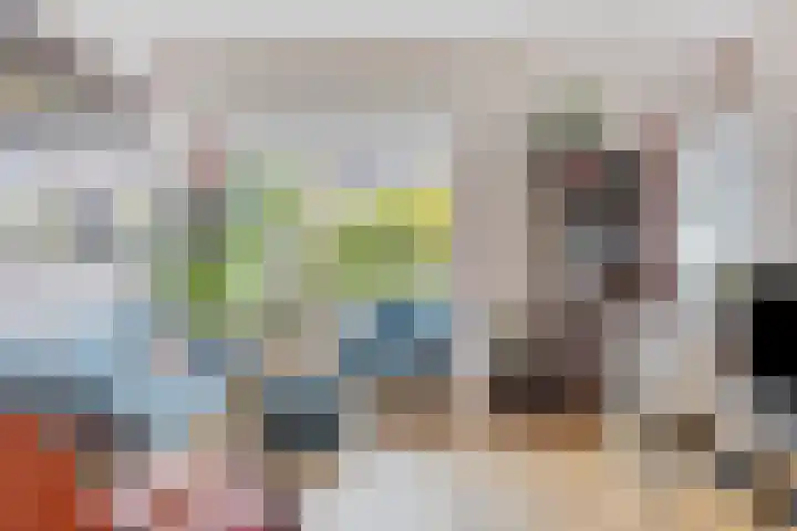 Tulpstraat 42 Goes thumbnail 9