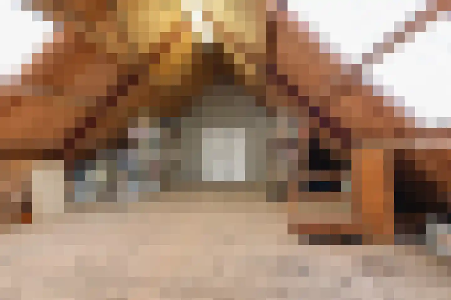 Tulpstraat 46 Culemborg thumbnail 36