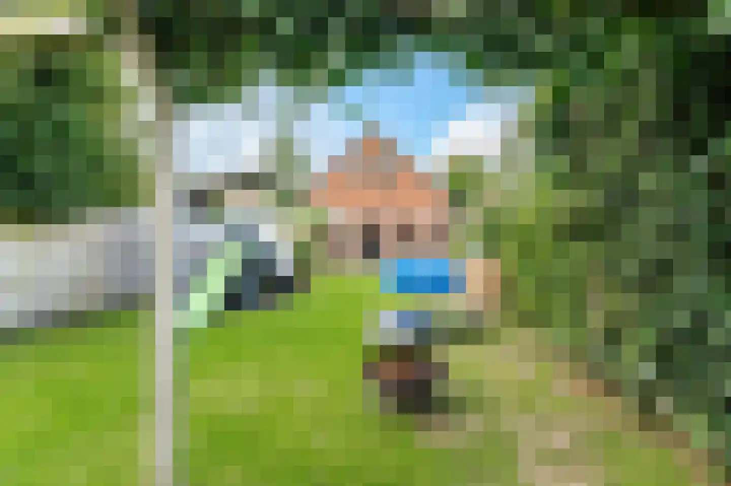 Tulpstraat 46 Culemborg thumbnail 53