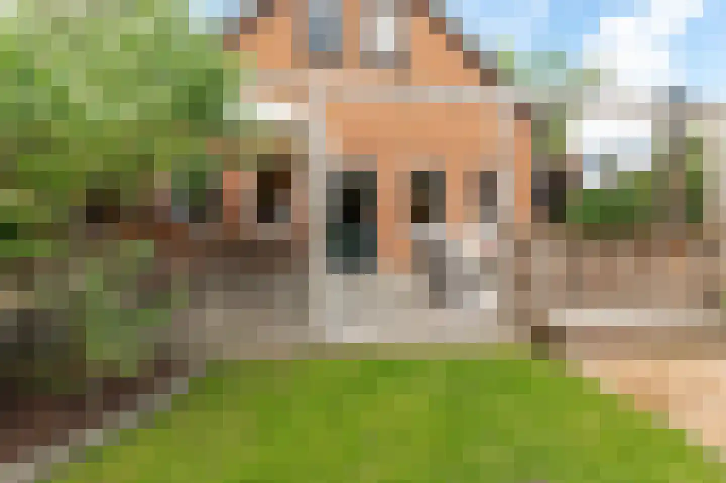 Tulpstraat 46 Culemborg thumbnail 56