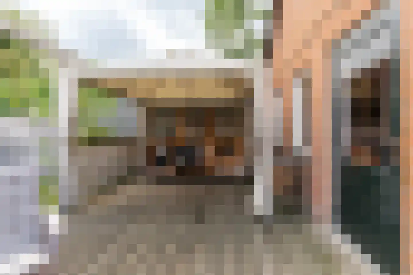 Tulpstraat 46 Culemborg thumbnail 58
