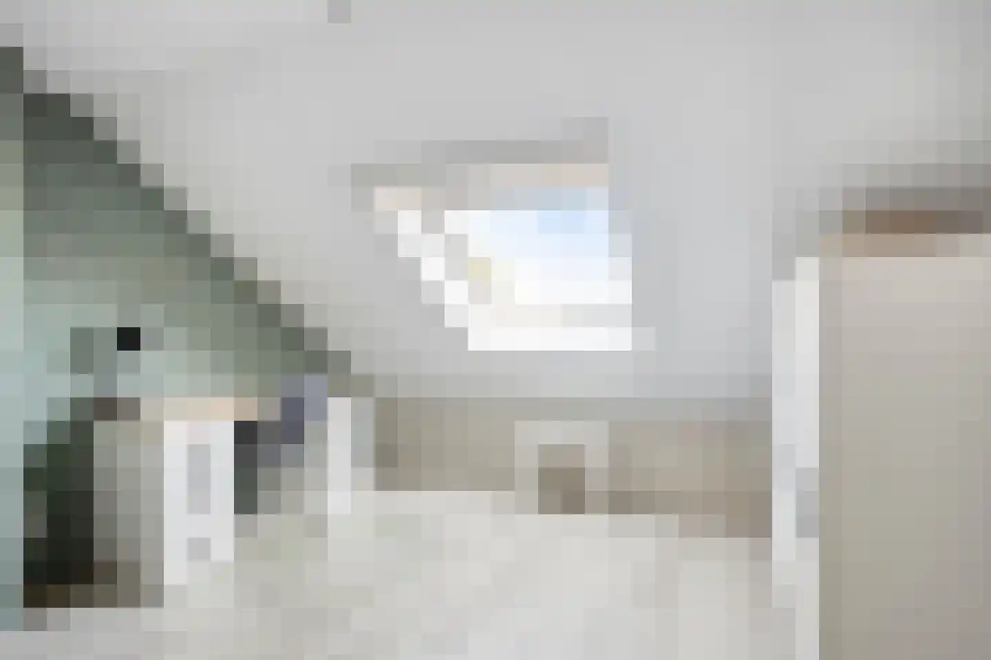 Tulpstraat 46 't Zand thumbnail 30