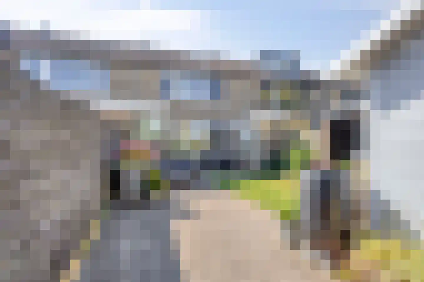 Tulpstraat 46 't Zand thumbnail 39