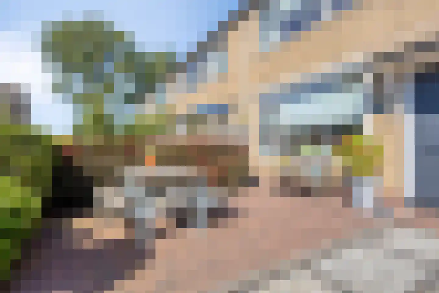 Tulpstraat 46 't Zand thumbnail 5