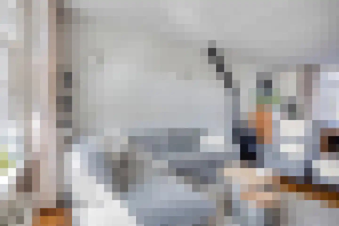 Tulpstraat 46 't Zand thumbnail 7
