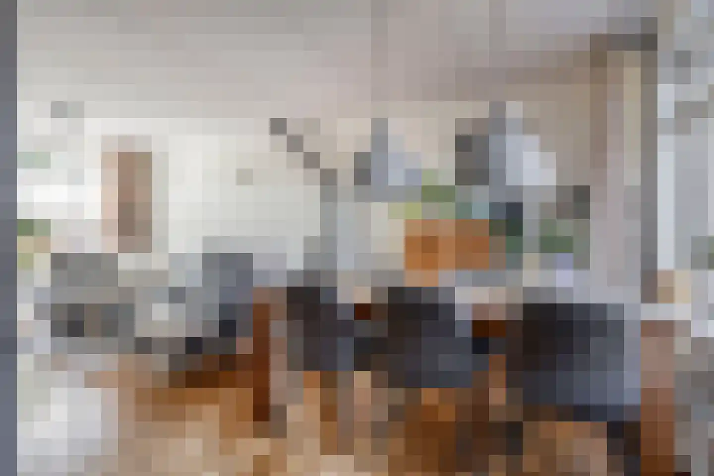 Tulpstraat 46 't Zand thumbnail 9