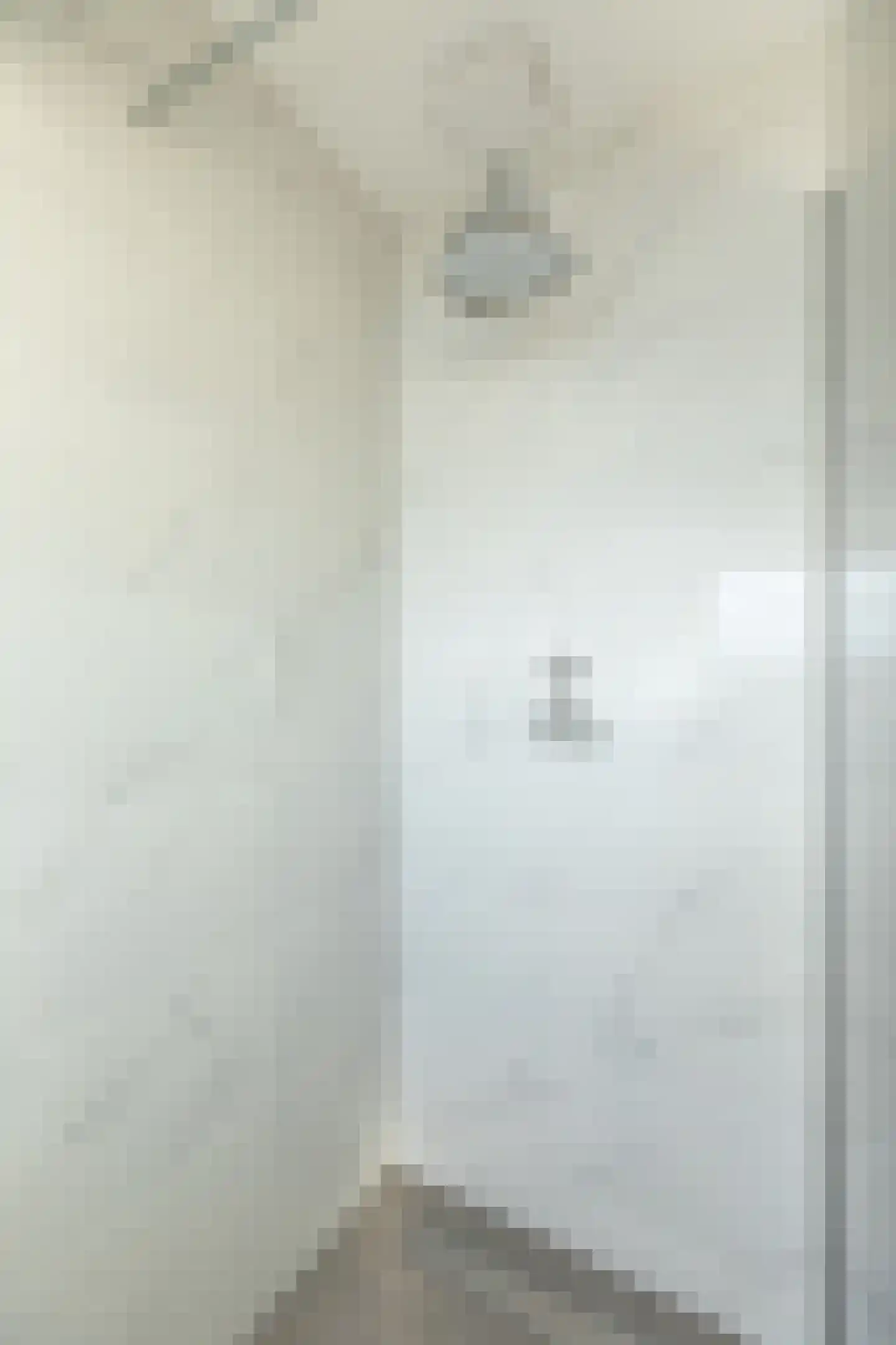 Tulpstraat 47 Hilversum thumbnail 21