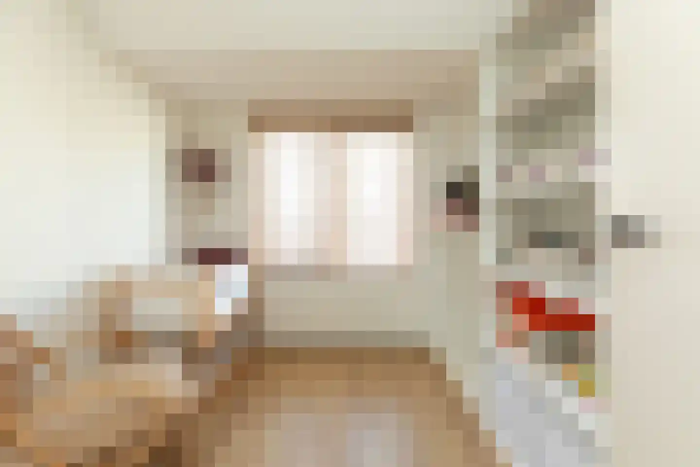 Tulpstraat 47 Hilversum thumbnail 22