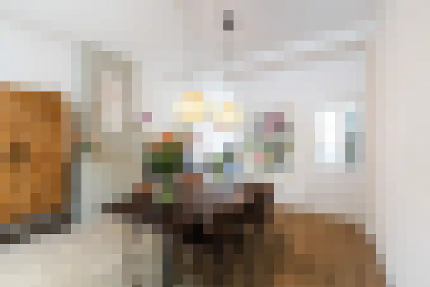 Tulpstraat 47 Utrecht thumbnail 11