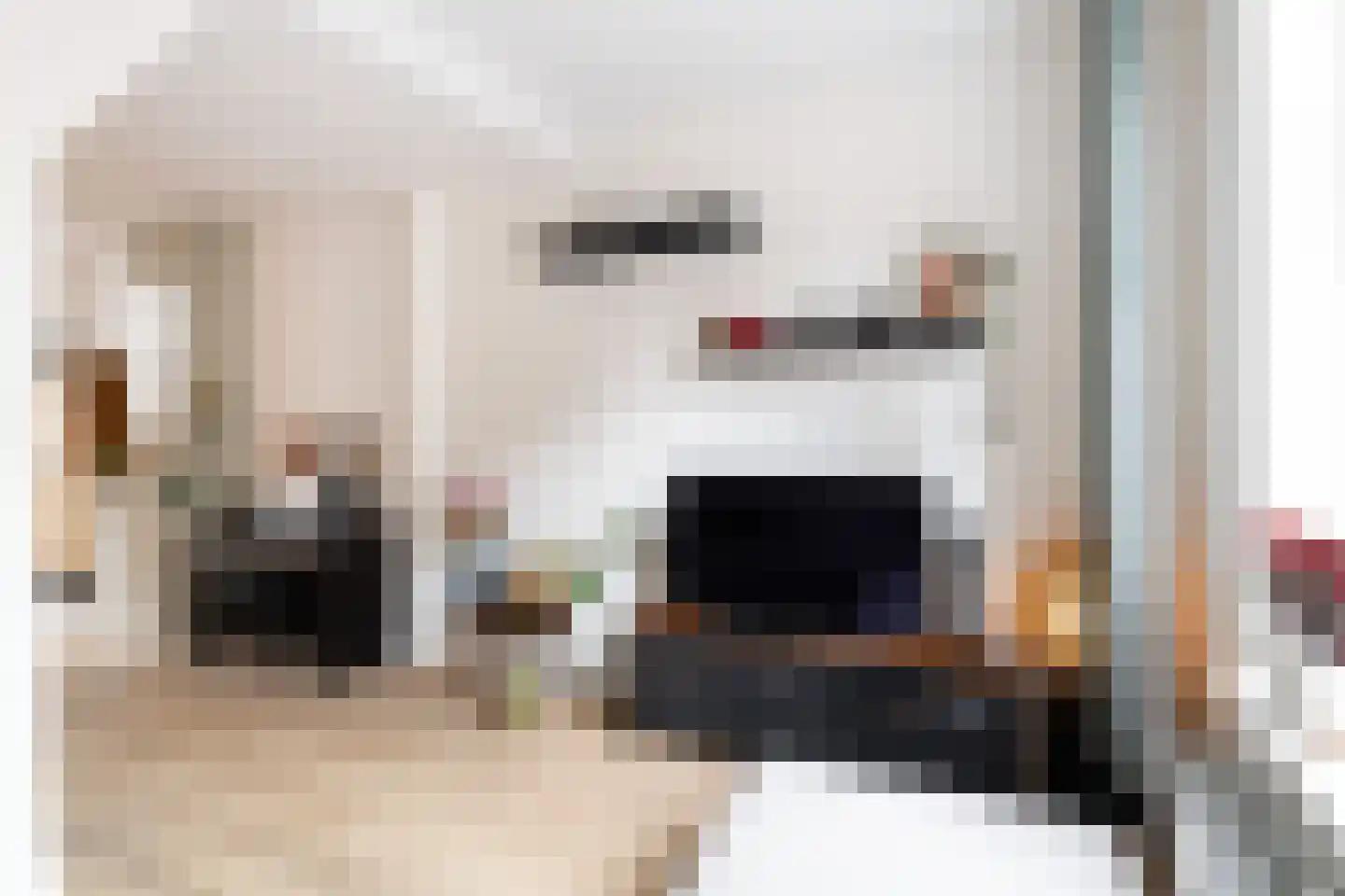 Tulpstraat 47 Utrecht thumbnail 13