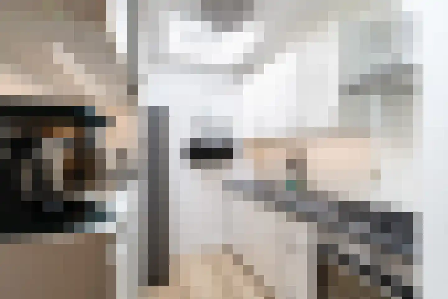 Tulpstraat 47 Utrecht thumbnail 18