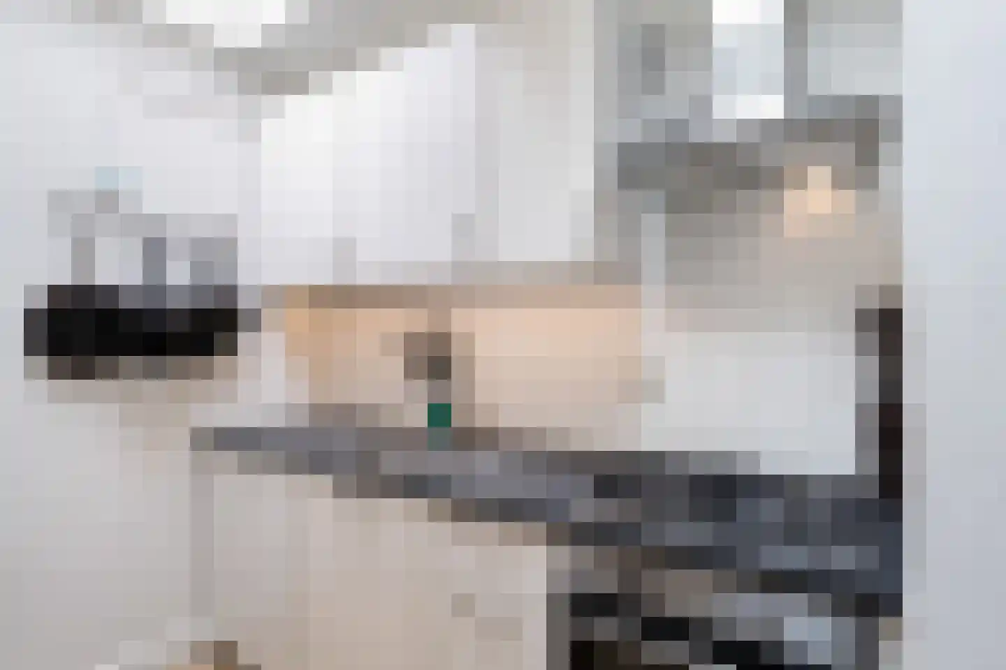 Tulpstraat 47 Utrecht thumbnail 19
