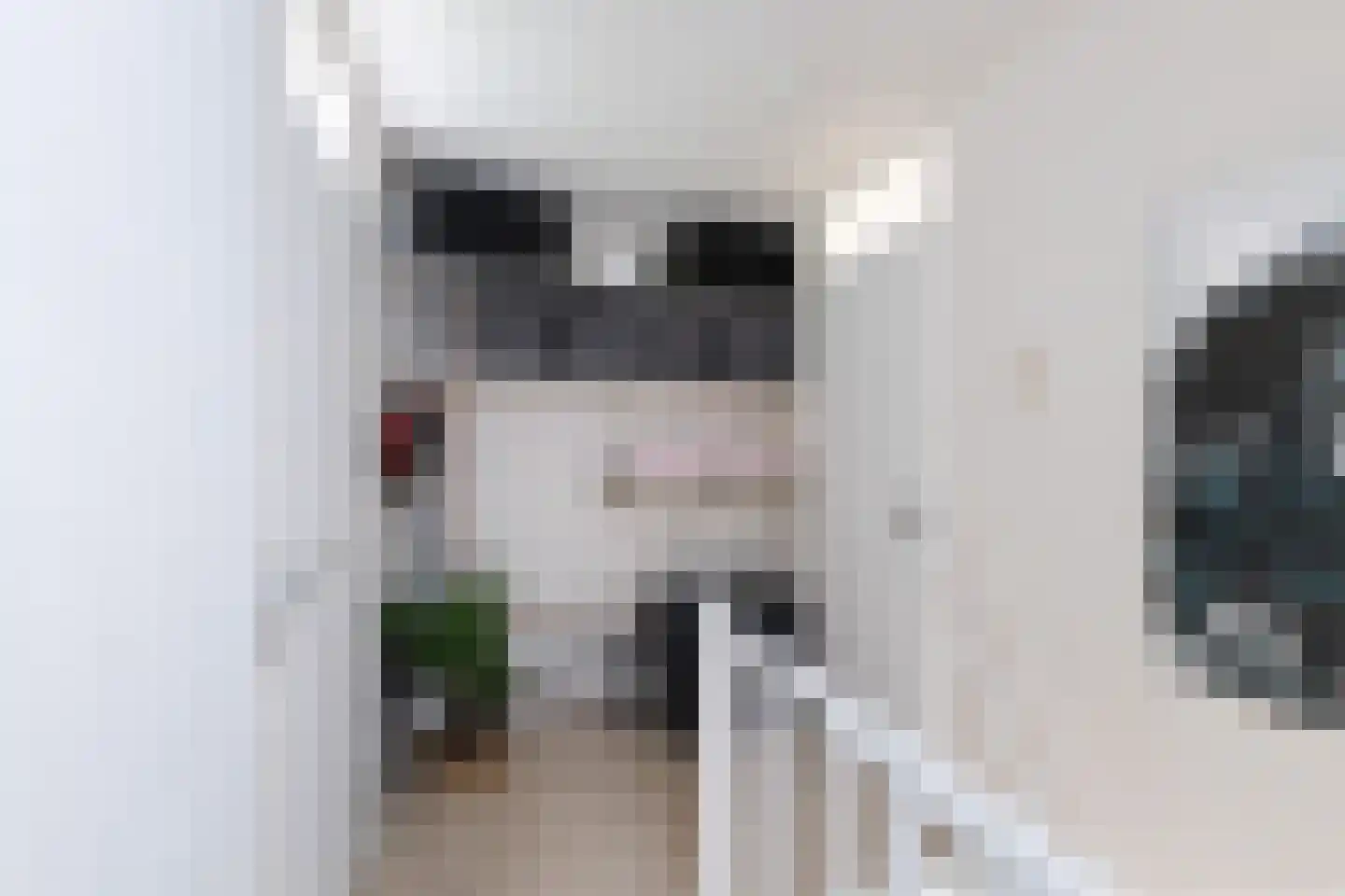 Tulpstraat 47 Utrecht thumbnail 21