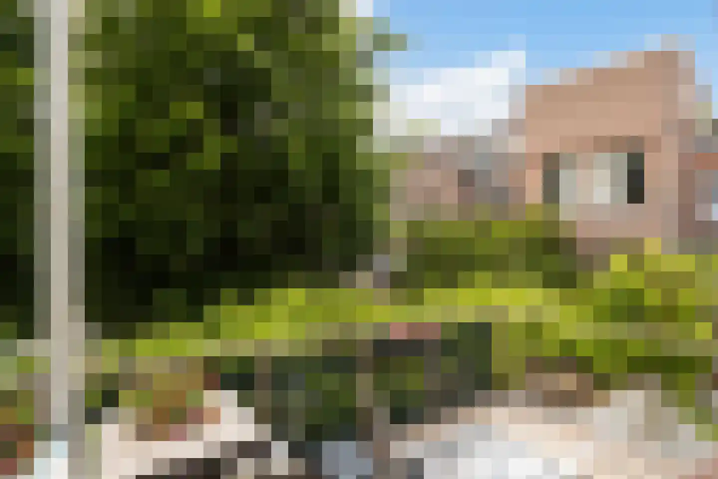 Tulpstraat 47 Utrecht thumbnail 29