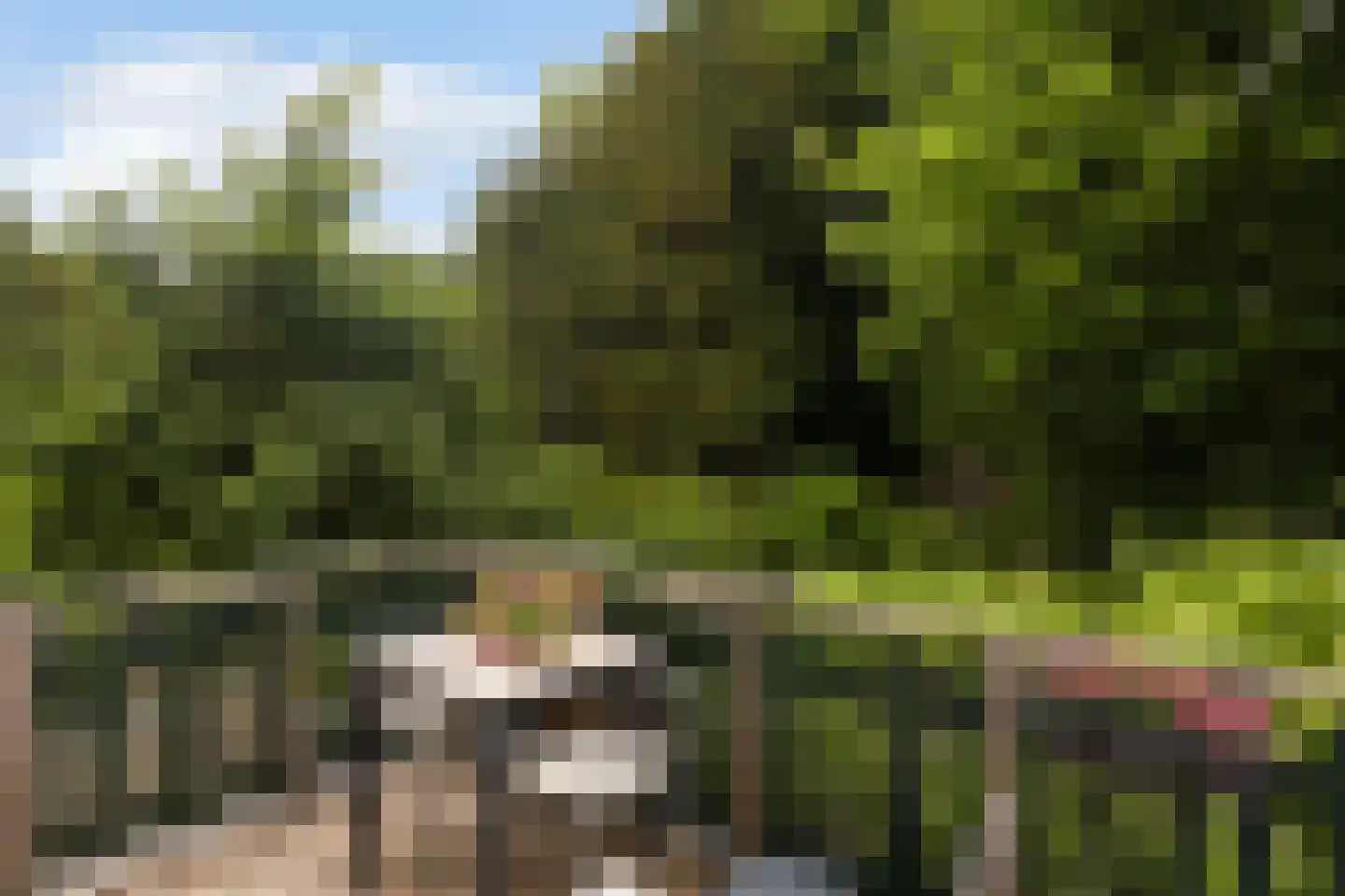 Tulpstraat 47 Utrecht thumbnail 30