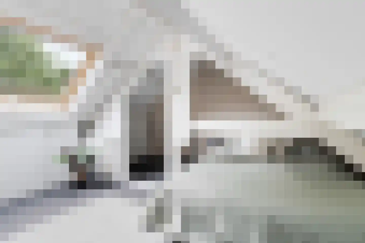 Tulpstraat 47 Utrecht thumbnail 33