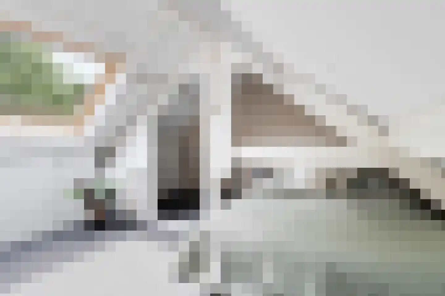 Tulpstraat 47 Utrecht thumbnail 33