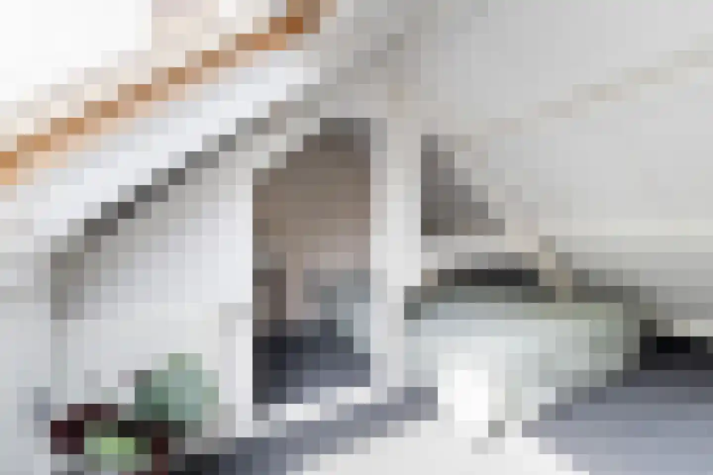 Tulpstraat 47 Utrecht thumbnail 34