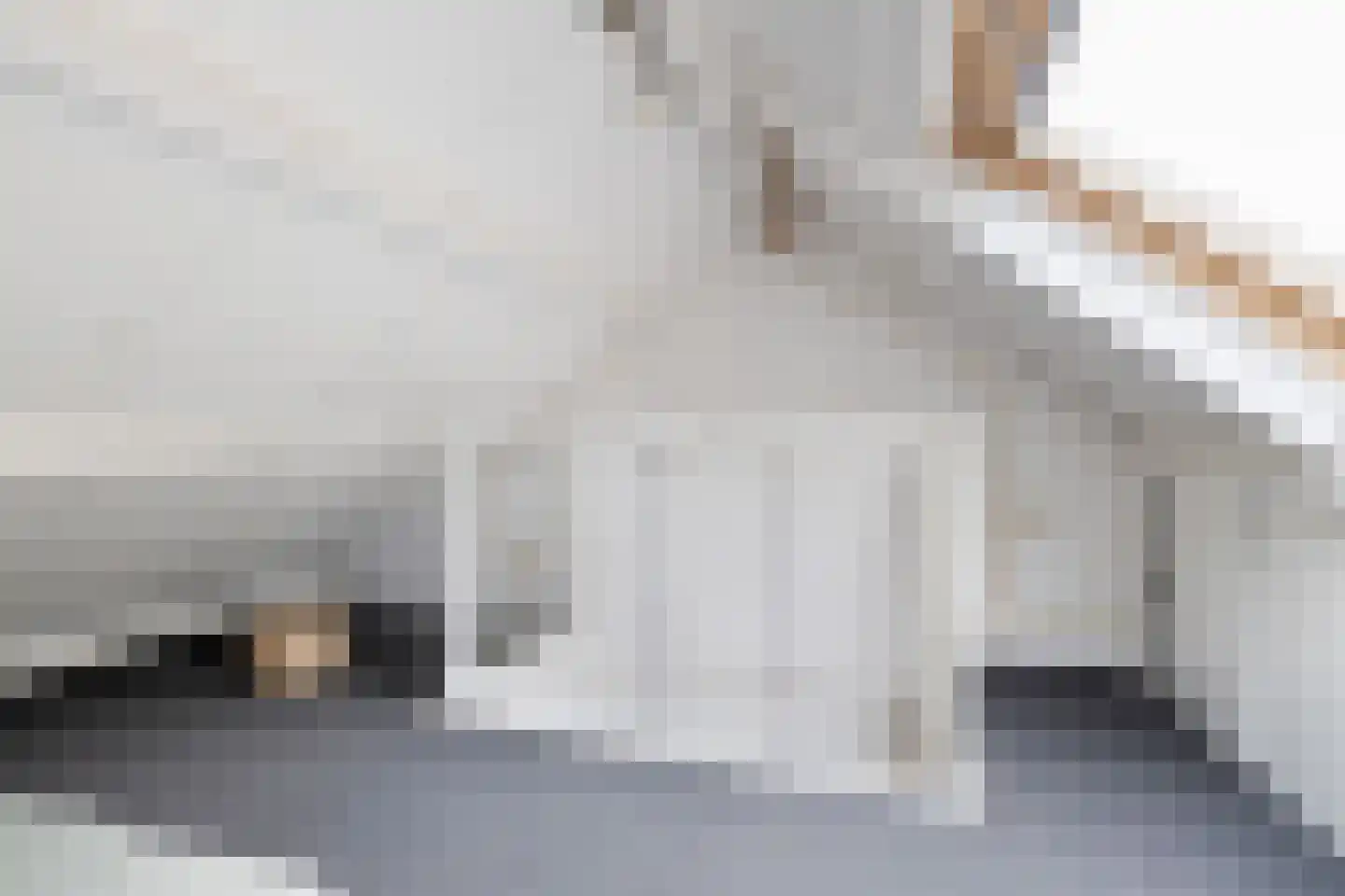 Tulpstraat 47 Utrecht thumbnail 35