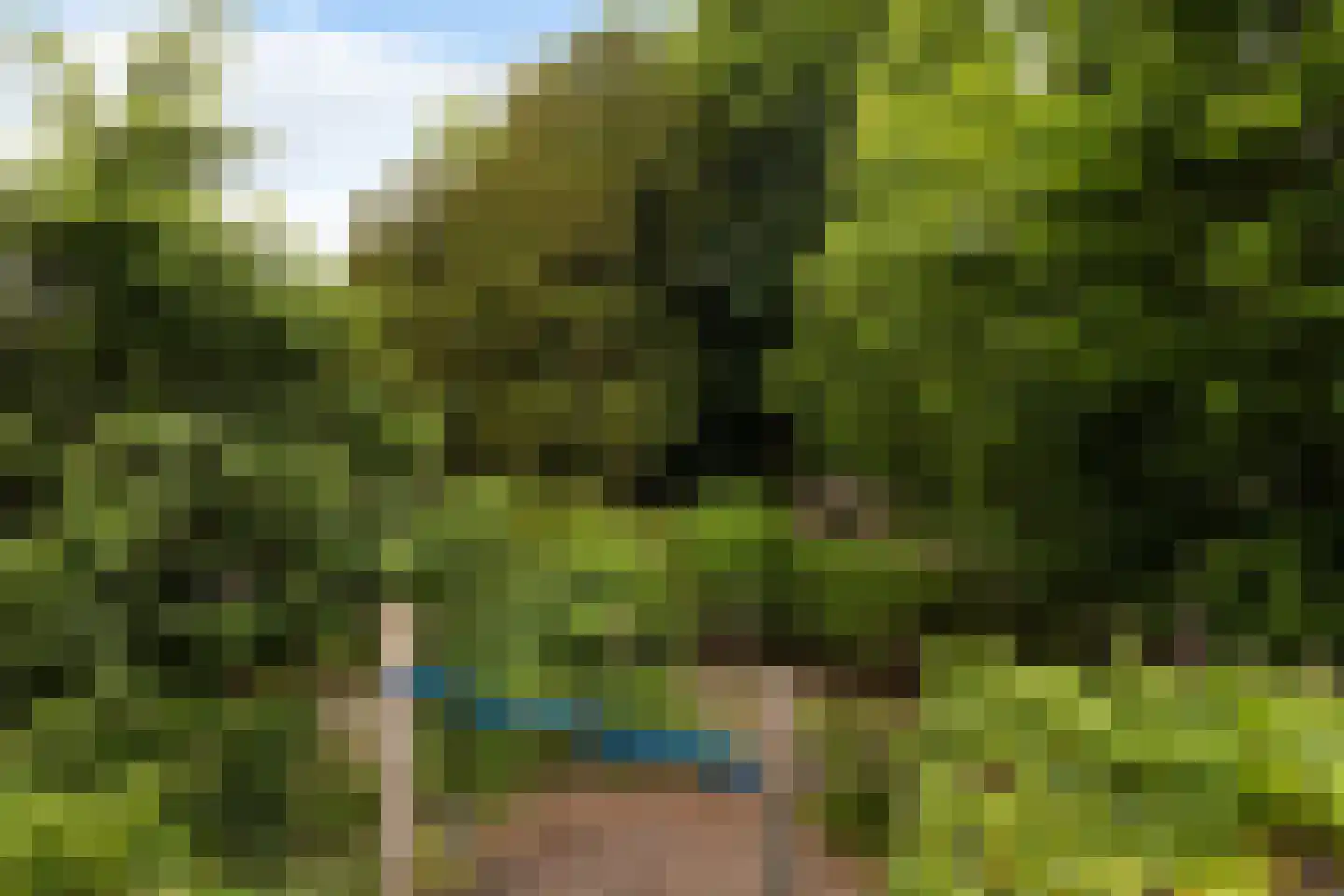Tulpstraat 47 Utrecht thumbnail 39