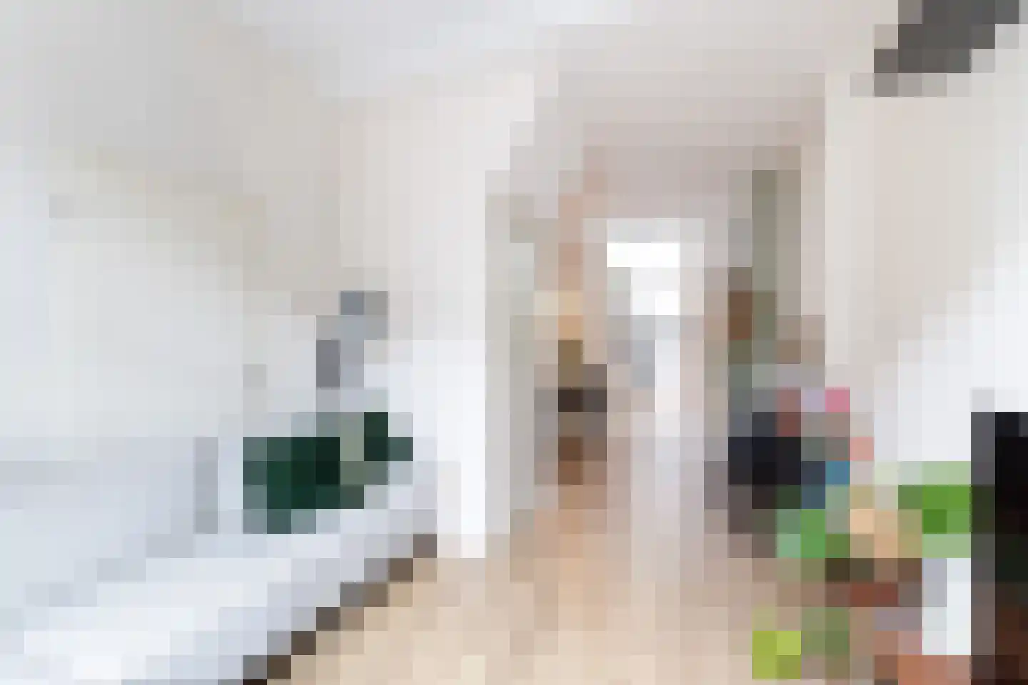 Tulpstraat 47 Utrecht thumbnail 4
