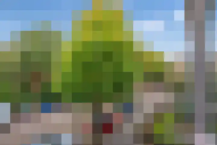 Tulpstraat 48 Rijswijk thumbnail 10