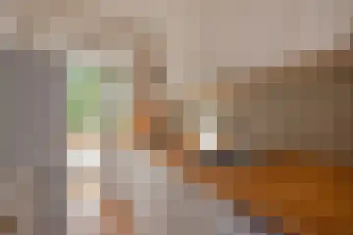 Tulpstraat 48 Rijswijk thumbnail 16