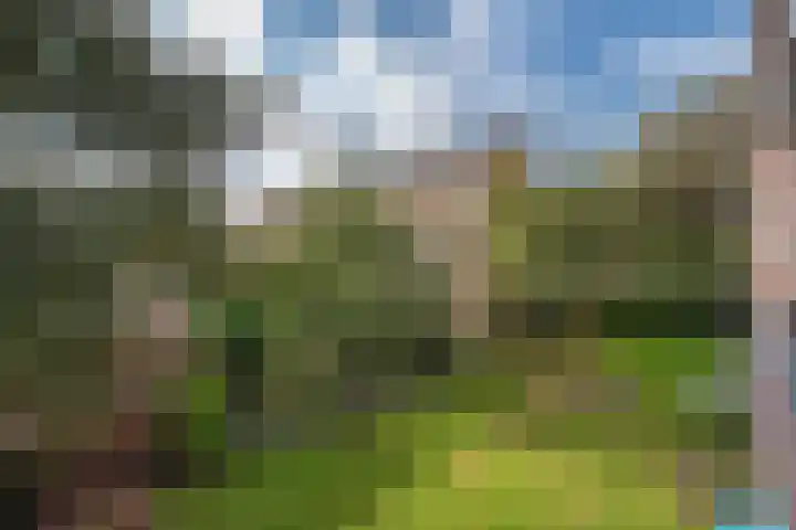 Tulpstraat 48 Rijswijk thumbnail 24
