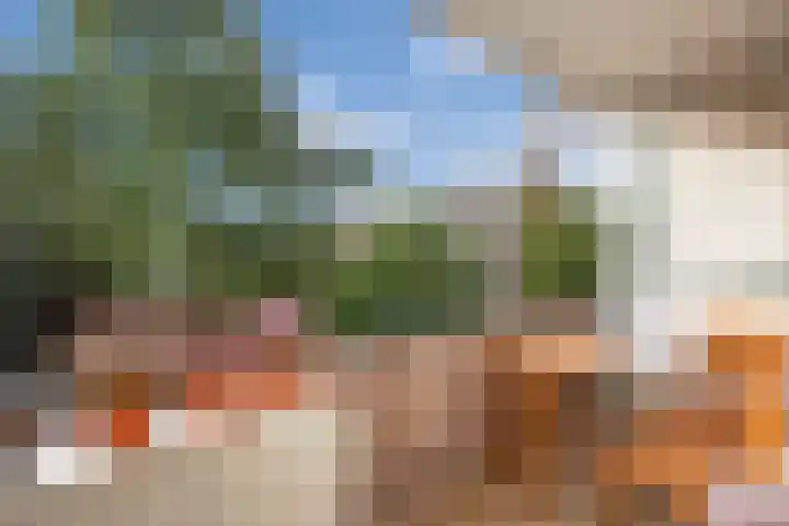 Tulpstraat 48 Rijswijk thumbnail 4