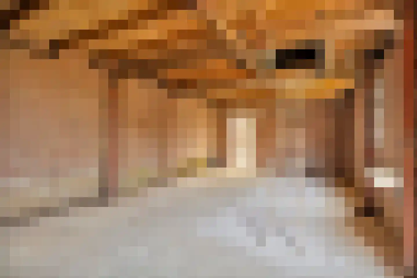 Tulpstraat 49 Nuth thumbnail 10