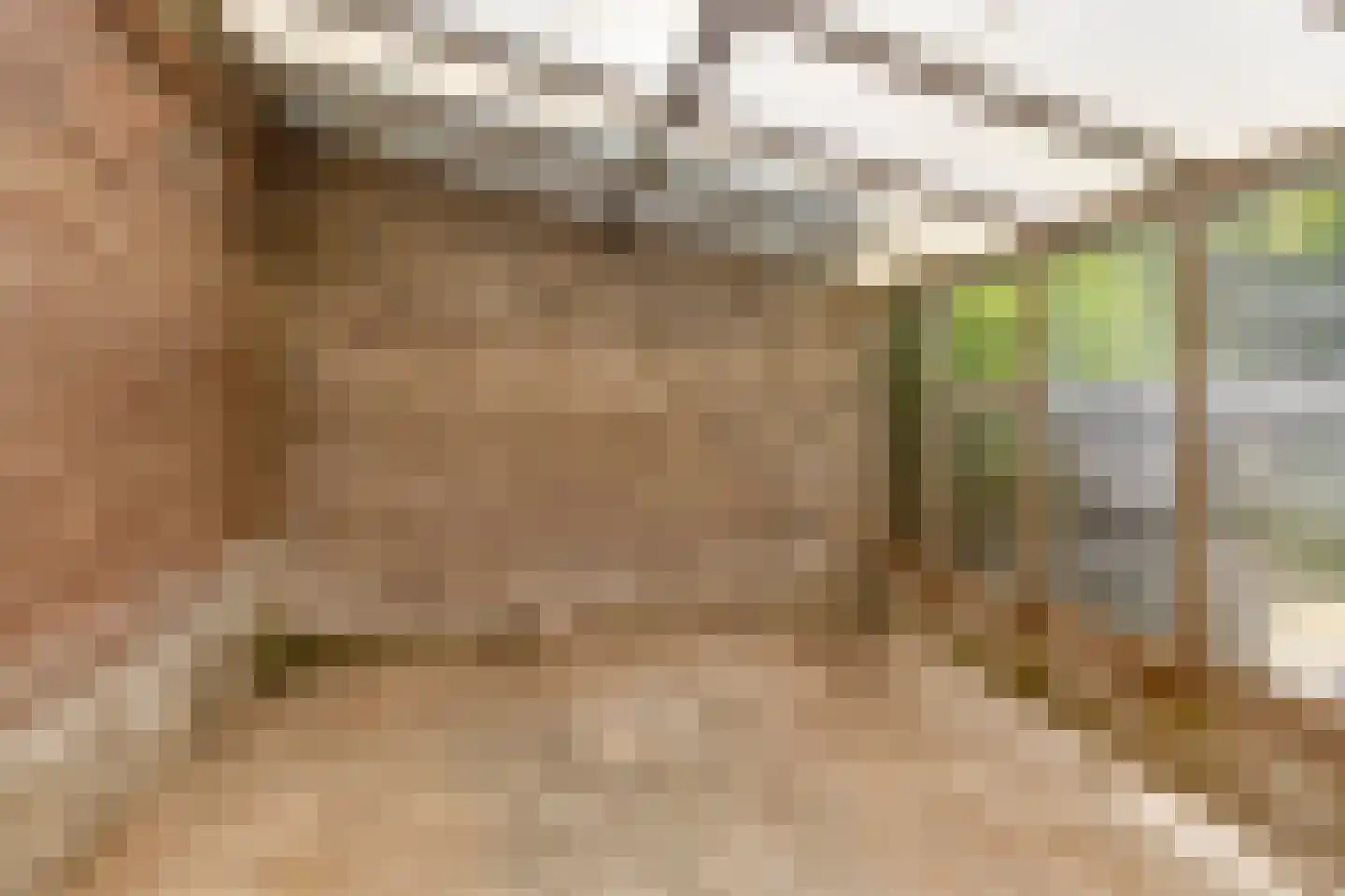 Tulpstraat 49 Nuth thumbnail 12