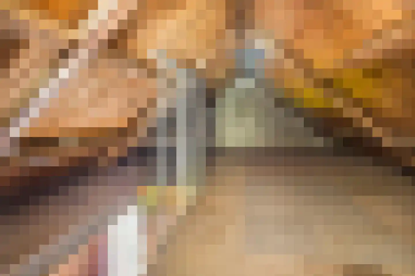 Tulpstraat 49 Nuth thumbnail 14