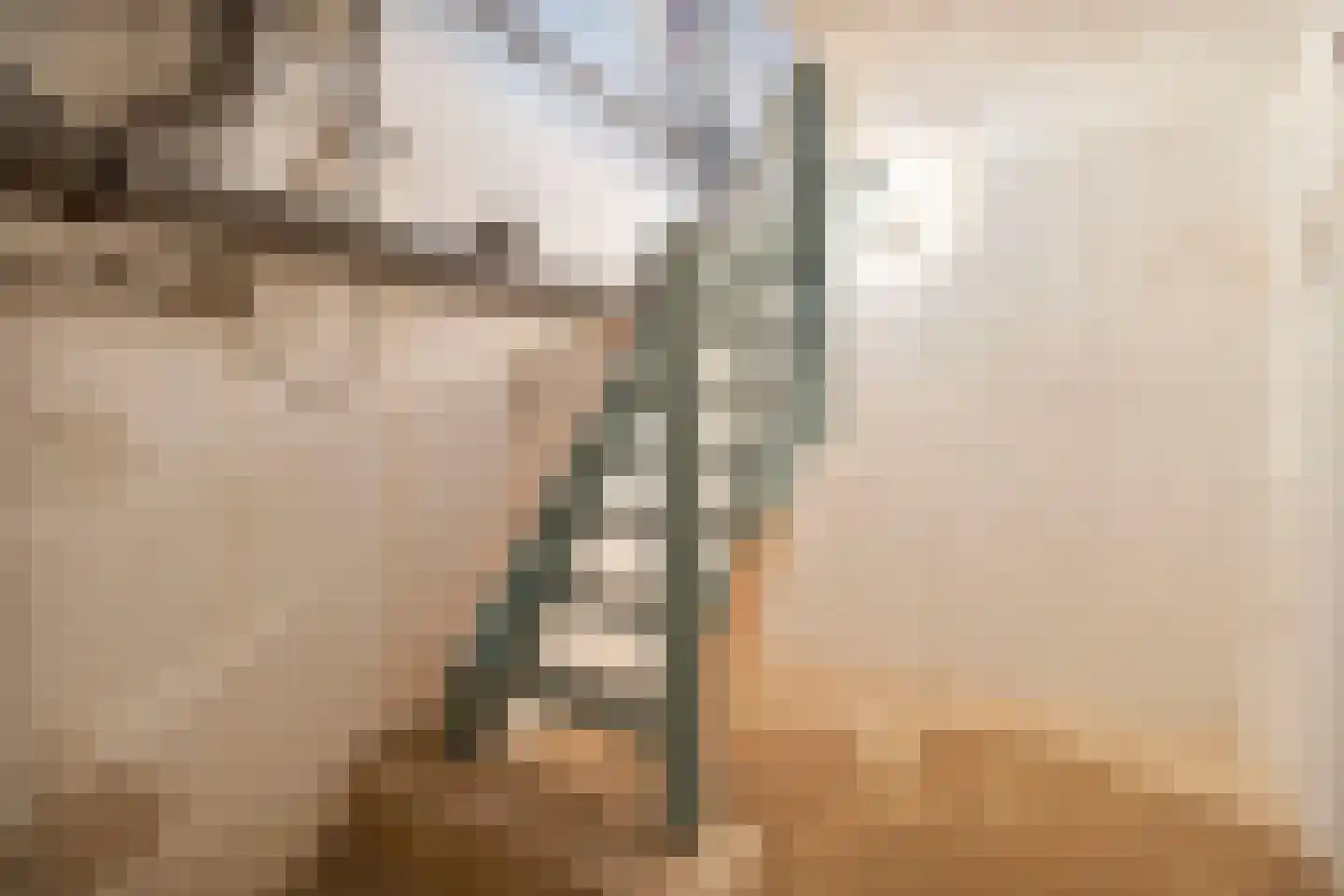 Tulpstraat 49 Nuth thumbnail 27