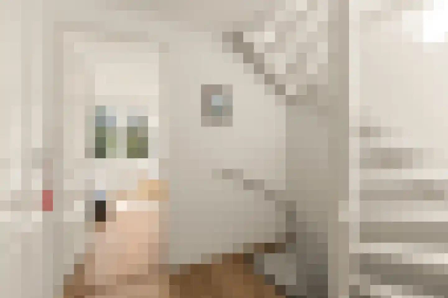 Tulpstraat 49 Utrecht thumbnail 16