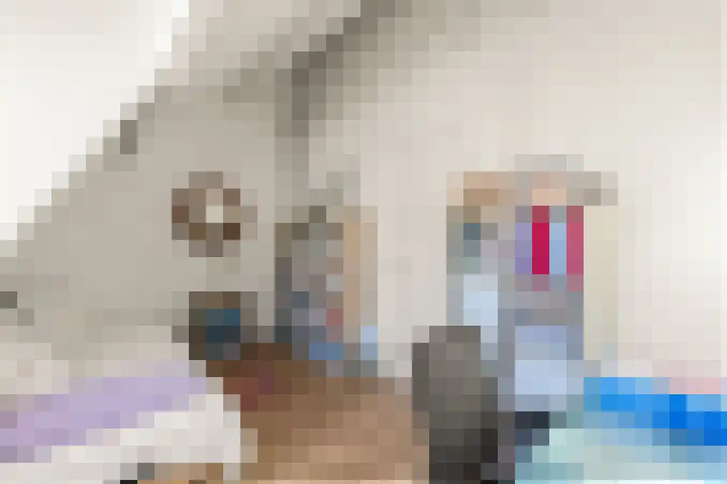 Tulpstraat 49 Utrecht thumbnail 23