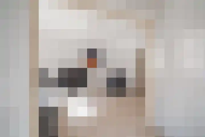 Tulpstraat 5 a Rijswijk thumbnail 11