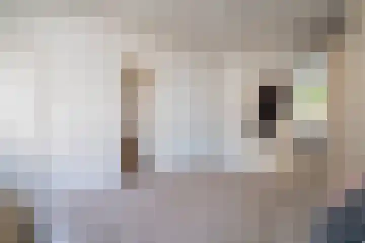 Tulpstraat 5 a Rijswijk thumbnail 18