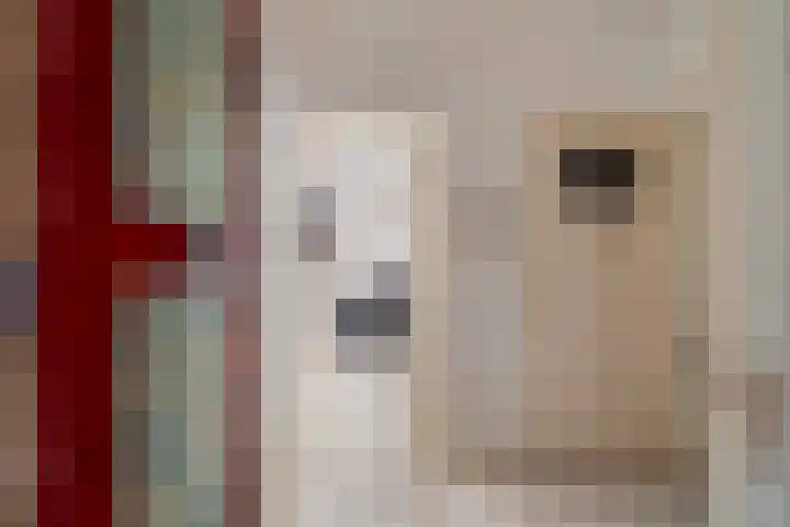 Tulpstraat 5 a Rijswijk thumbnail 23