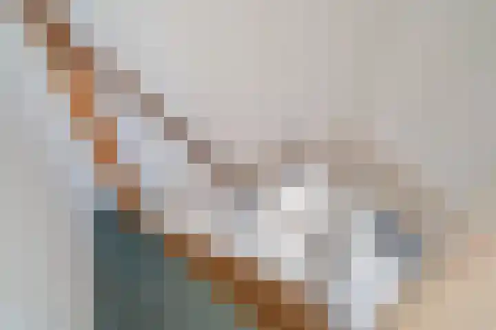 Tulpstraat 5 a Rijswijk thumbnail 31