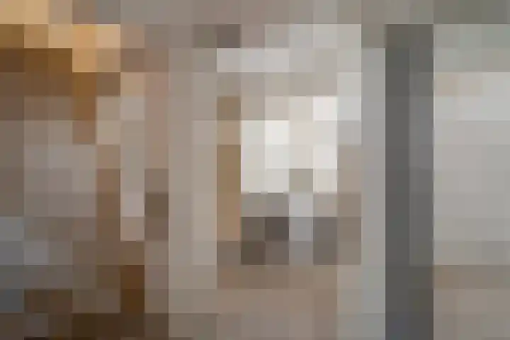 Tulpstraat 5 a Rijswijk thumbnail 33
