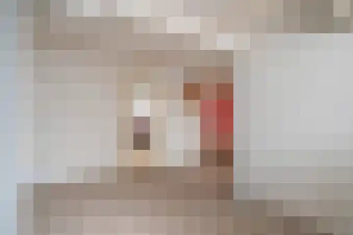 Tulpstraat 5 a Rijswijk thumbnail 36
