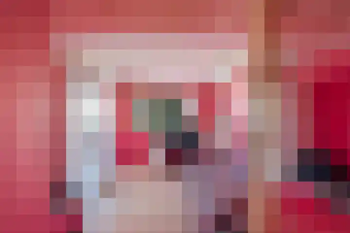 Tulpstraat 5 a Rijswijk thumbnail 37