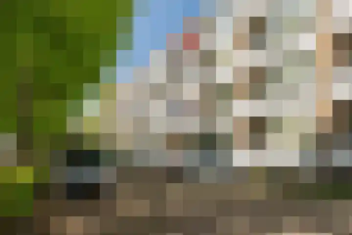 Tulpstraat 5 a Rijswijk thumbnail 41