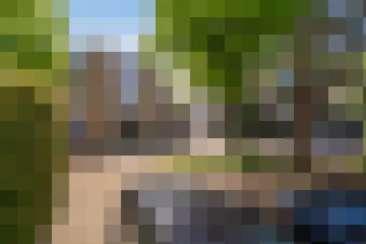 Tulpstraat 5 a Rijswijk thumbnail 43