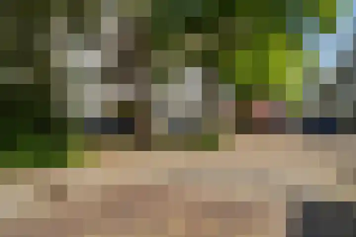 Tulpstraat 5 a Rijswijk thumbnail 44