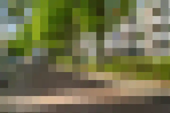 Tulpstraat 5 a Rijswijk thumbnail 45