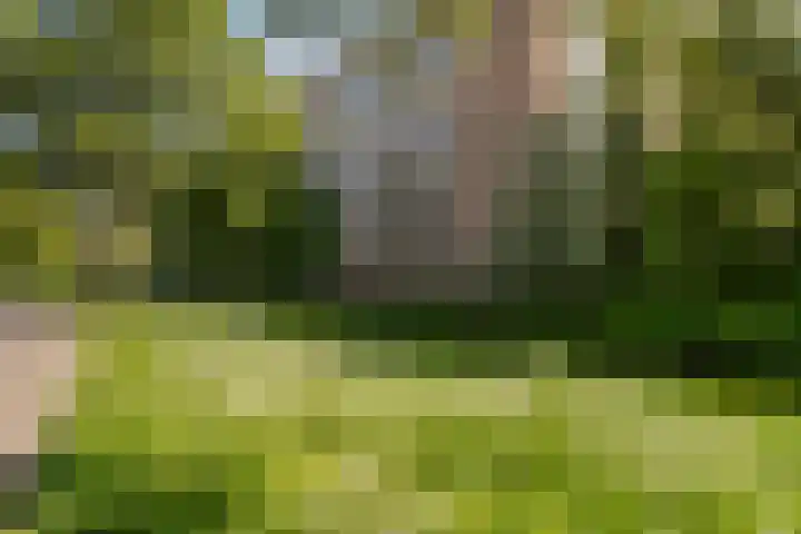 Tulpstraat 5 a Rijswijk thumbnail 46