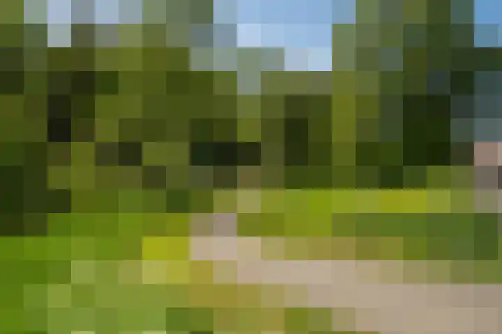 Tulpstraat 5 a Rijswijk thumbnail 47