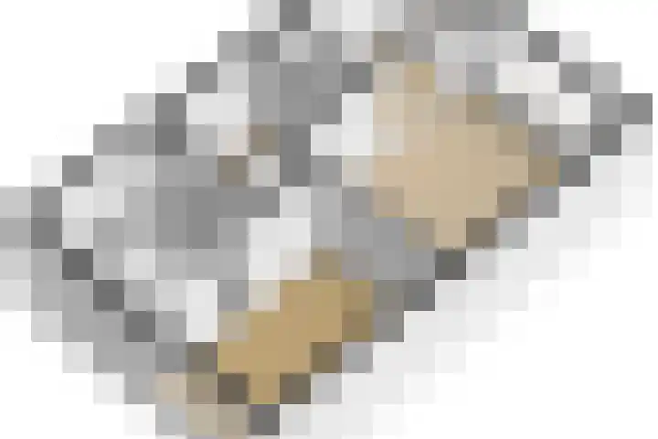 Tulpstraat 5 a Rijswijk thumbnail 49